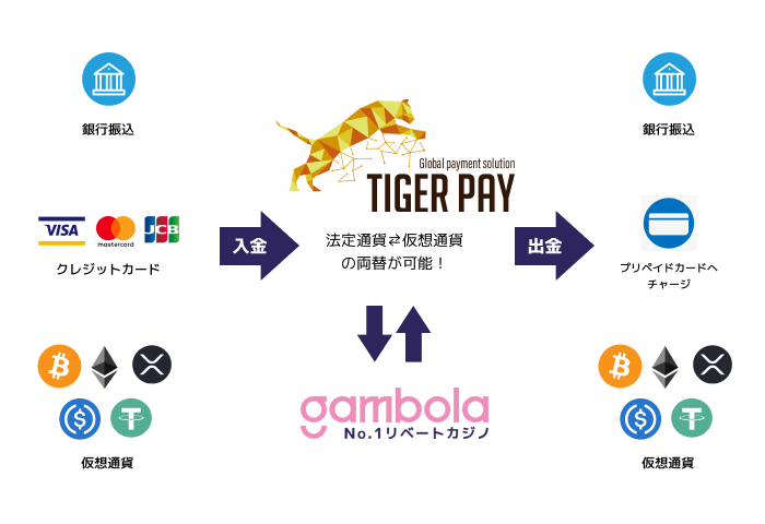 Tigerpay-infographic-wireframe.jpg